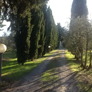 Sunshine Florenz